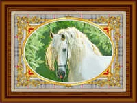 Картина Белая Лошадь
